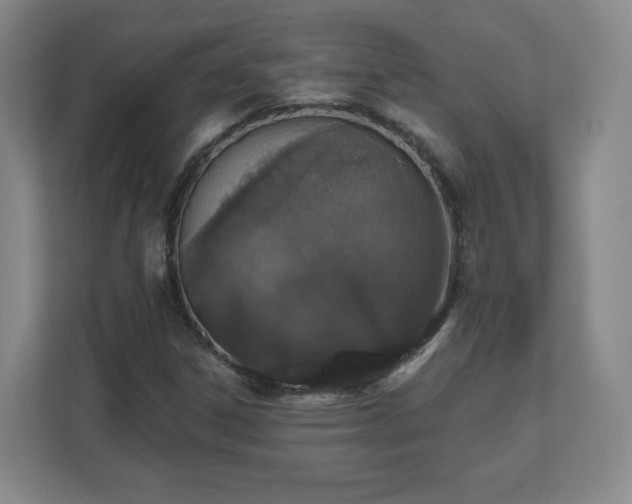 X0000110701306200906191519