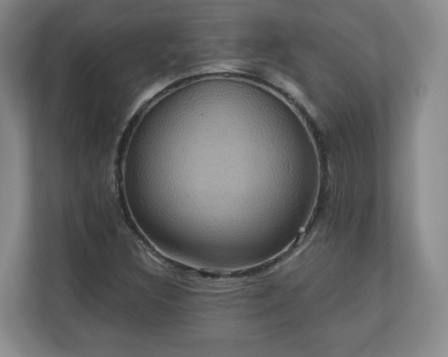 X0000110701308200906191519