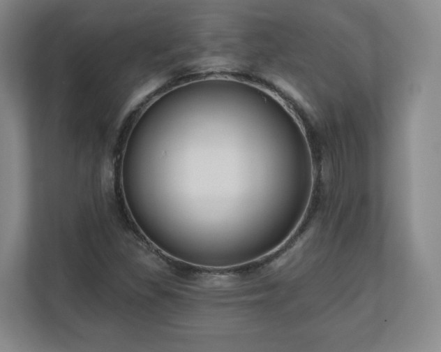 X0000110701309200906191519