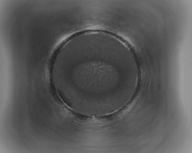 X0000110701311200906191519