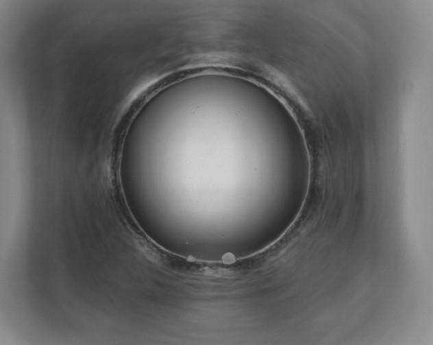 X0000110701312200906191519