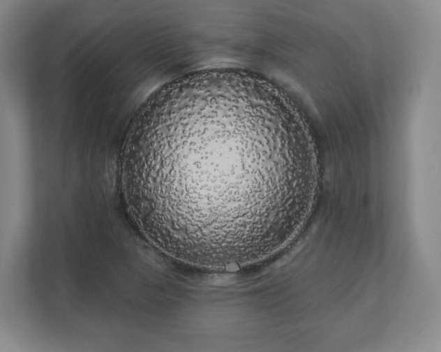 X0000110701313200906191519