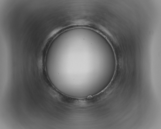 X0000110701315200906191519