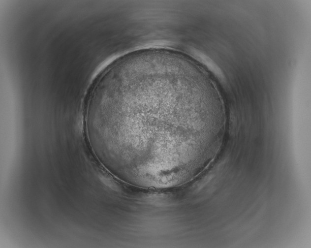 X0000110701316200906191519