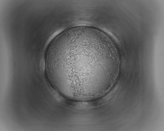 X0000110701317200906191519