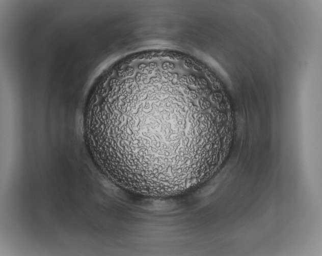 X0000110701318200906191519