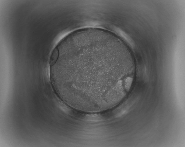 X0000110701320200906191519