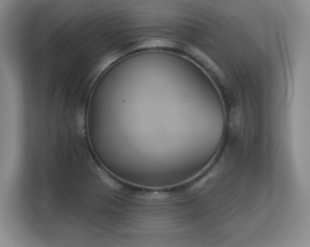 X0000110701321200906191519
