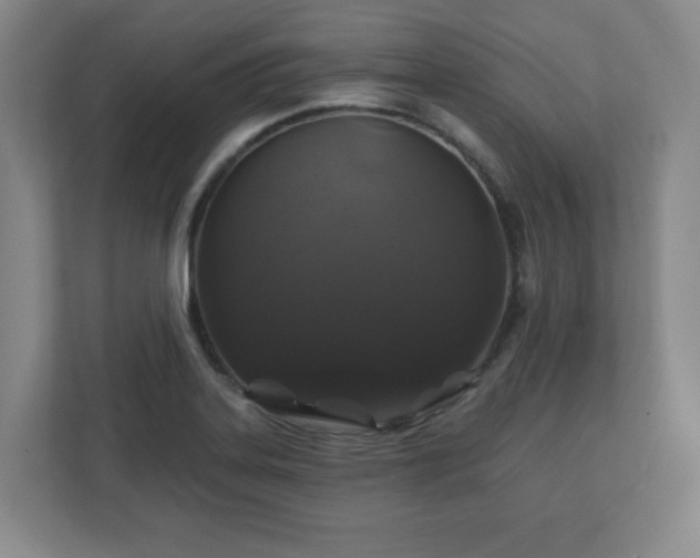 X0000110701323200906191519