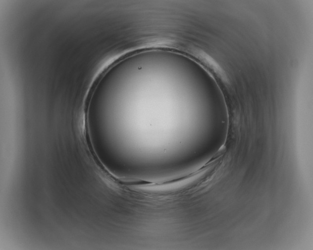 X0000110701324200906191519