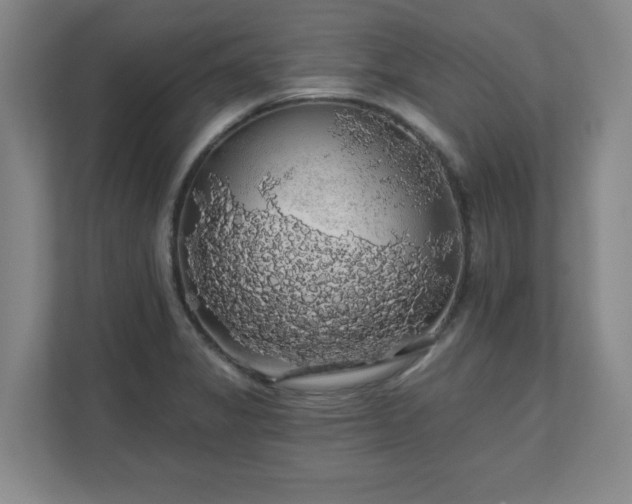 X0000110701325200906191519