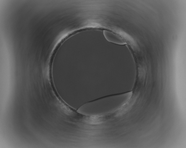X0000110701326200906191519
