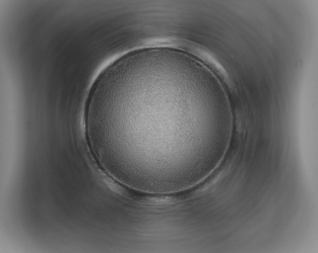 X0000110701328200906191519