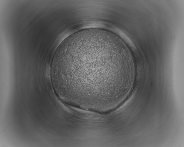 X0000110701329200906191519