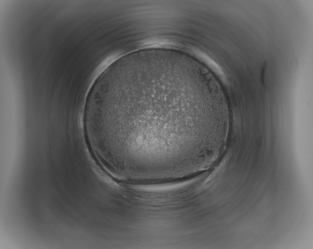 X0000110701330200906191520
