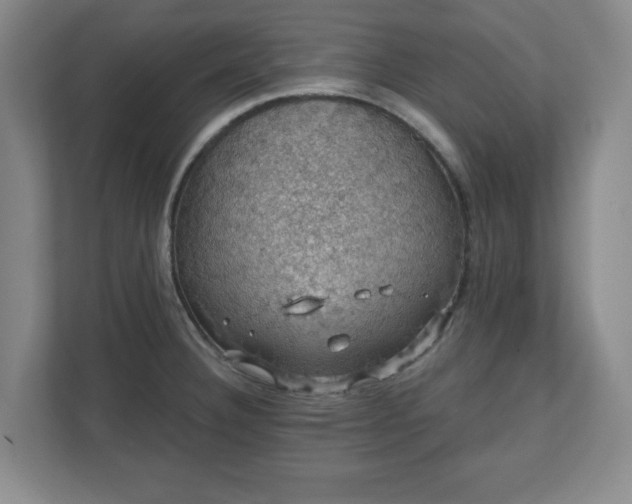 X0000110701332200906191520