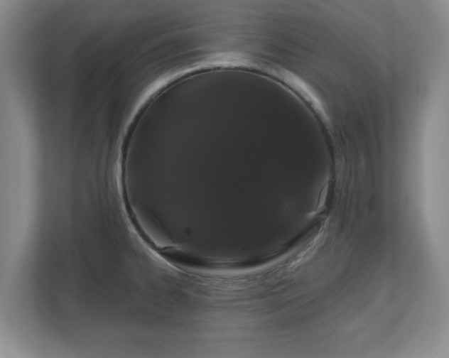X0000110701334200906191520