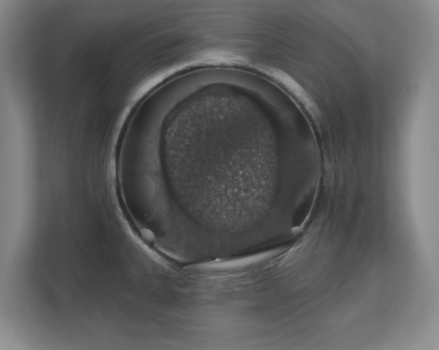 X0000110701335200906191520