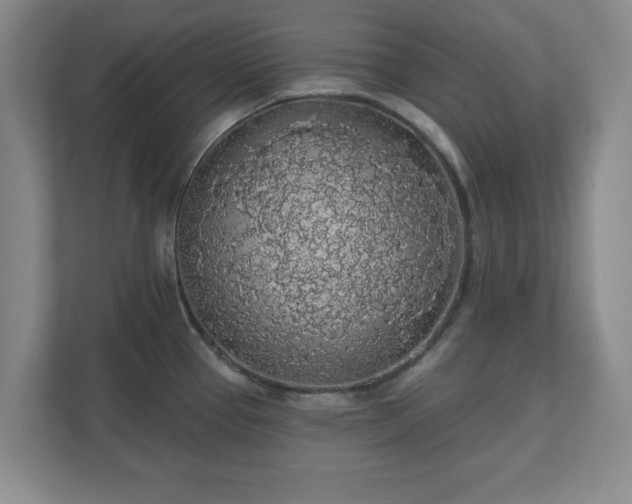 X0000110701337200906191520