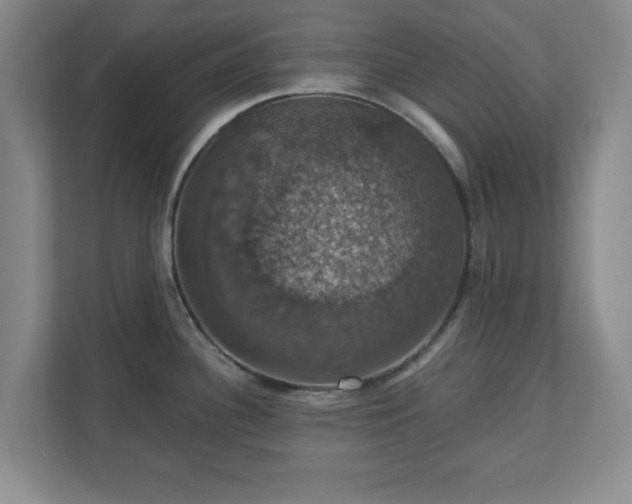X0000110701340200906191520