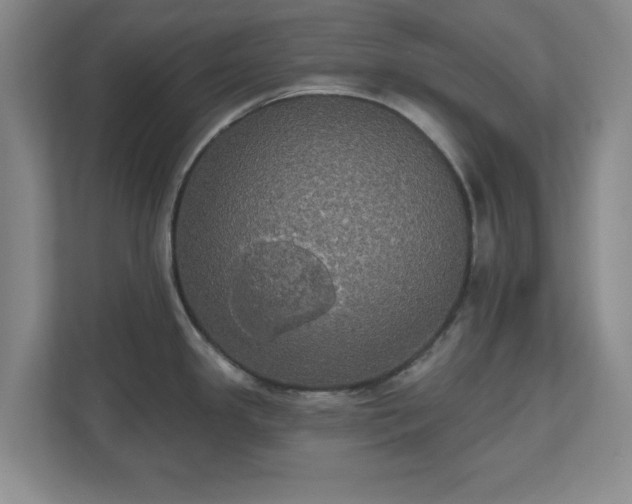 X0000110701341200906191520
