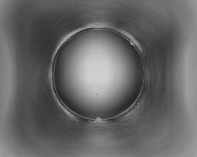 X0000110701343200906191520