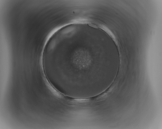 X0000110701344200906191520