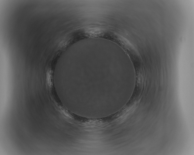X0000110701346200906191519