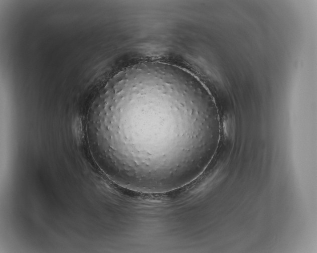 X0000110701347200906191519