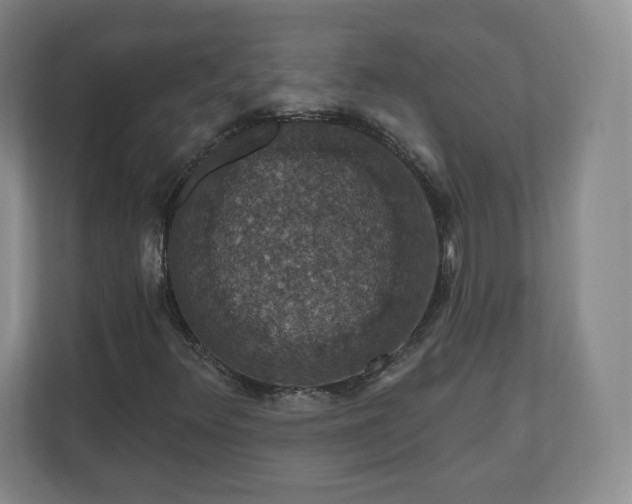 X0000110701348200906191519