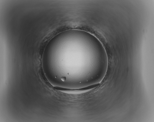 X0000110701349200906191519