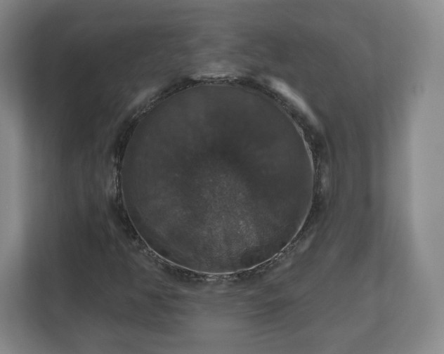 X0000110701350200906191519