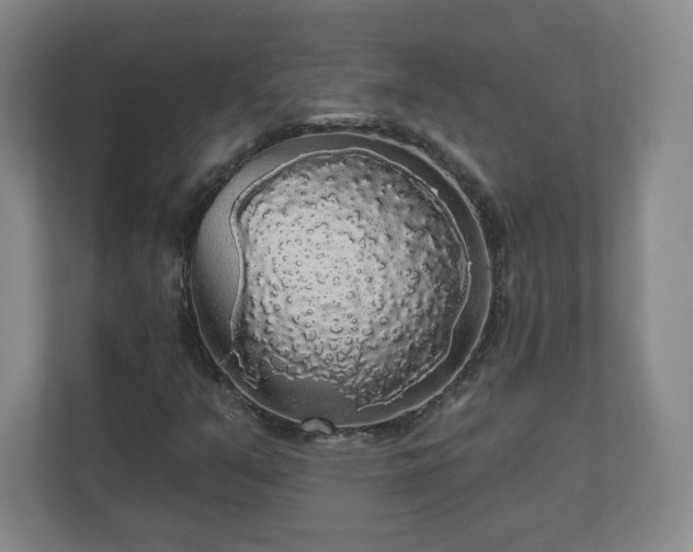 X0000110701351200906191519