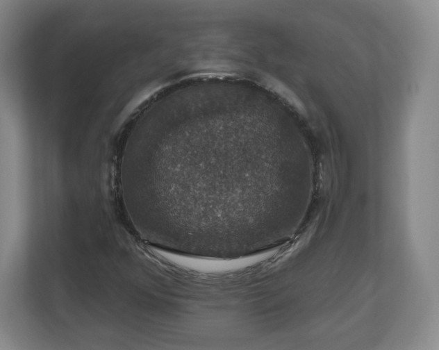X0000110701352200906191519