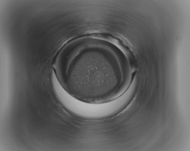 X0000110701353200906191519