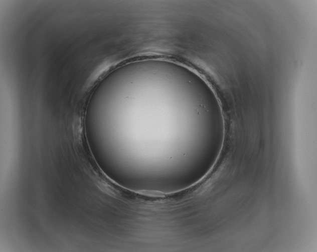 X0000110701355200906191519
