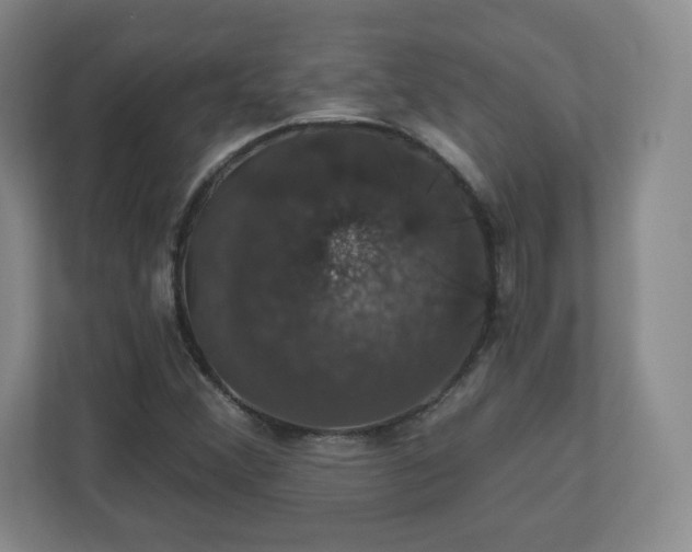 X0000110701356200906191519