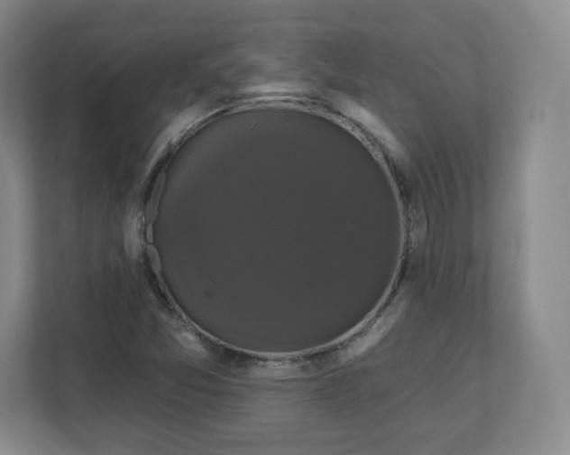X0000110701357200906191519