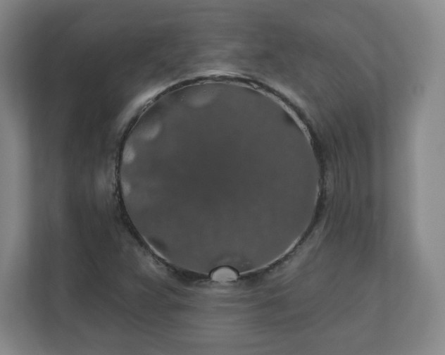 X0000110701359200906191519