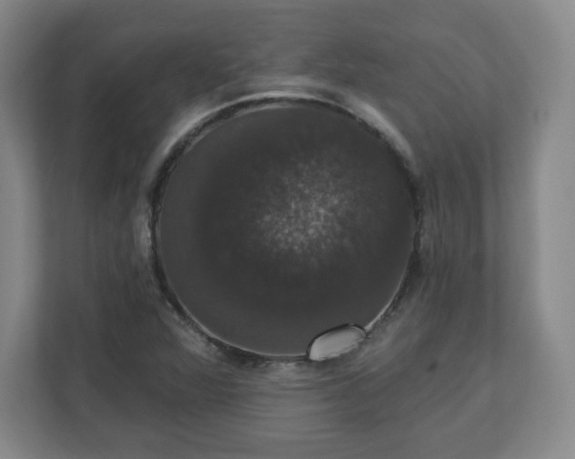 X0000110701360200906191519