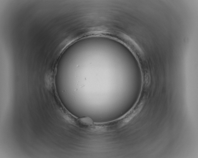 X0000110701361200906191519