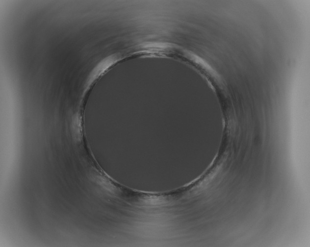 X0000110701362200906191519