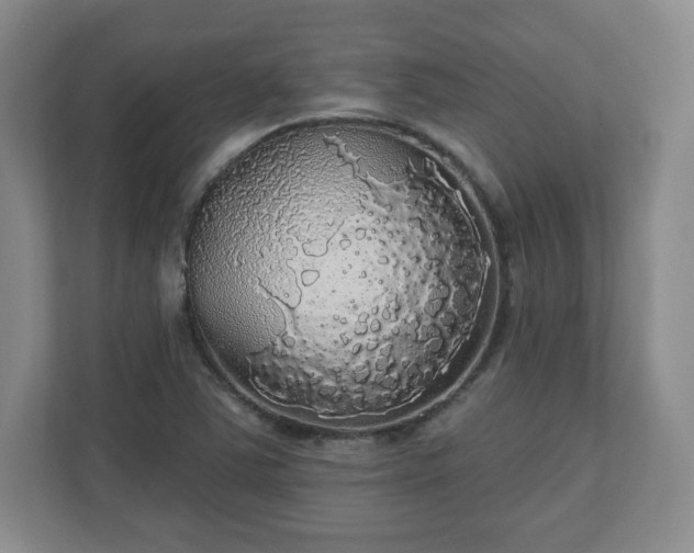 X0000110701363200906191519