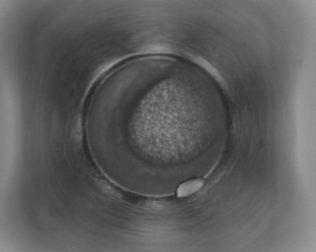 X0000110701364200906191519