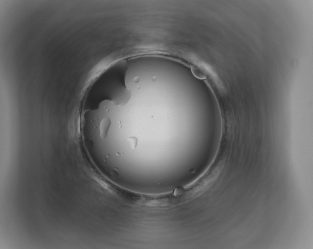 X0000110701365200906191519