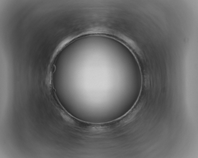 X0000110701366200906191519