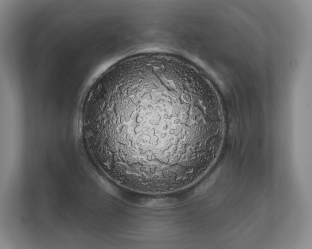 X0000110701367200906191519