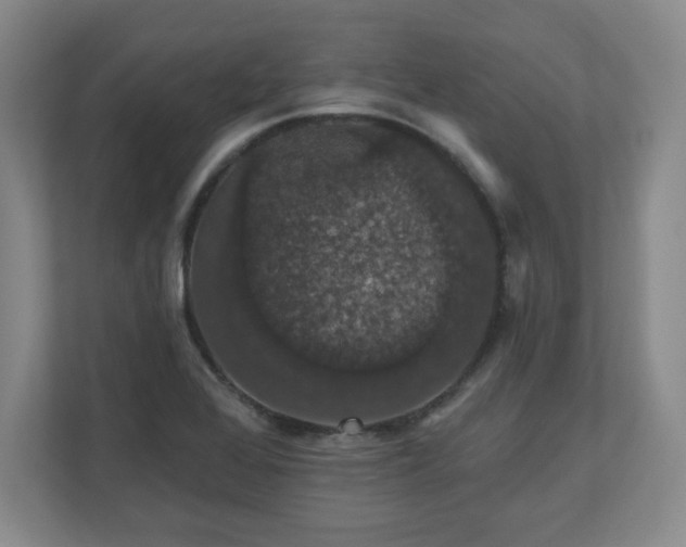 X0000110701368200906191519