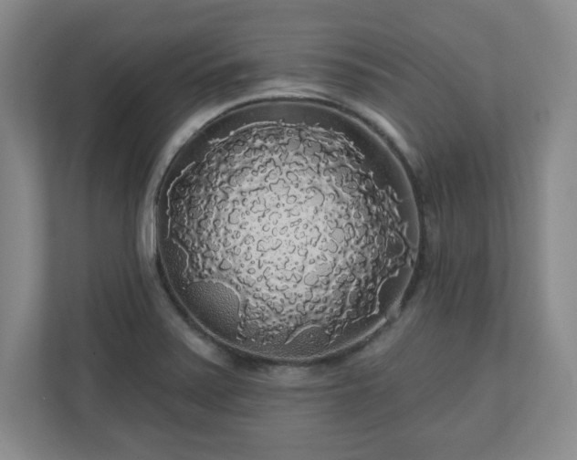 X0000110701371200906191519