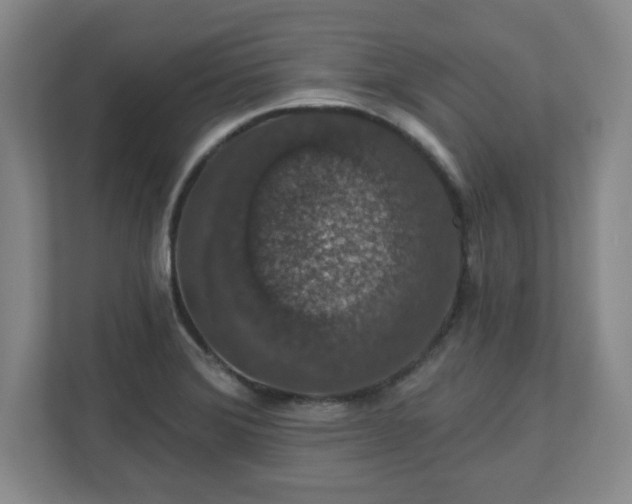 X0000110701372200906191519